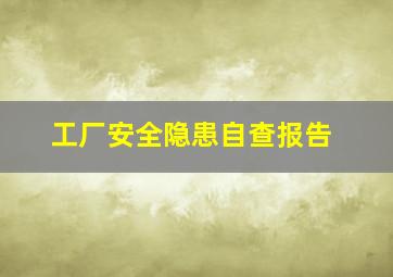 工厂安全隐患自查报告