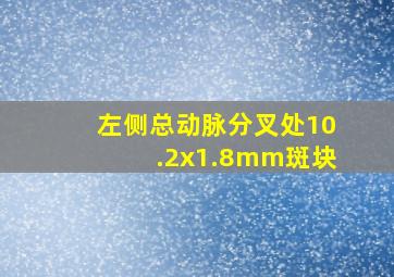 左侧总动脉分叉处10.2x1.8mm斑块