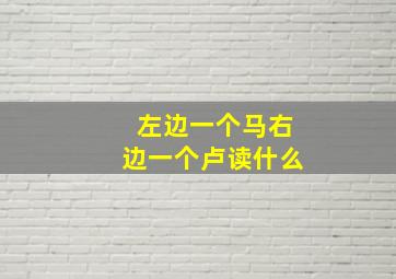 左边一个马右边一个卢读什么