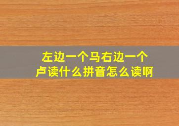 左边一个马右边一个卢读什么拼音怎么读啊