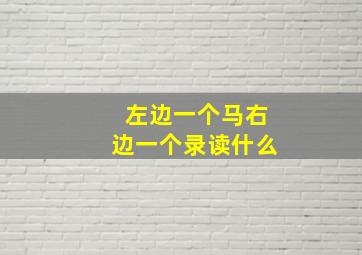 左边一个马右边一个录读什么