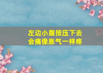 左边小腹按压下去会痛像胀气一样疼