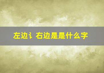 左边讠右边是是什么字