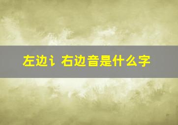 左边讠右边音是什么字