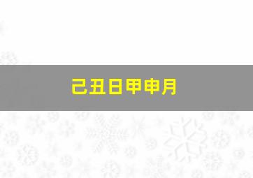 己丑日甲申月