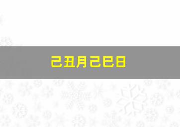 己丑月己巳日