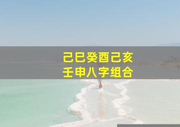 己巳癸酉己亥壬申八字组合