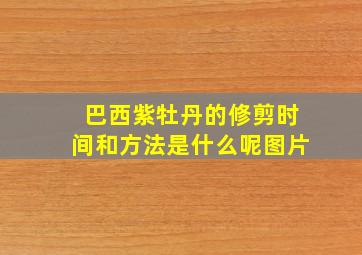 巴西紫牡丹的修剪时间和方法是什么呢图片