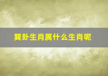 巽卦生肖属什么生肖呢