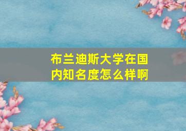 布兰迪斯大学在国内知名度怎么样啊