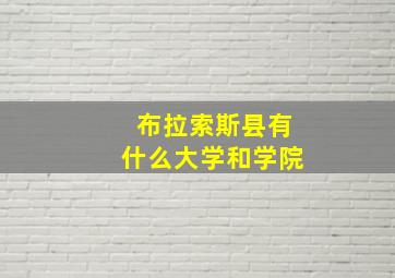 布拉索斯县有什么大学和学院