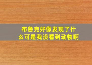 布鲁克好像发现了什么可是我没看到动物啊