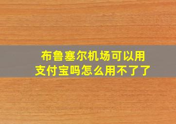 布鲁塞尔机场可以用支付宝吗怎么用不了了