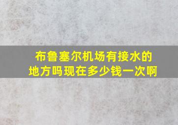 布鲁塞尔机场有接水的地方吗现在多少钱一次啊