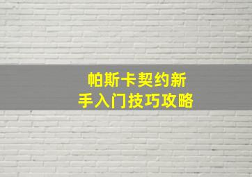 帕斯卡契约新手入门技巧攻略