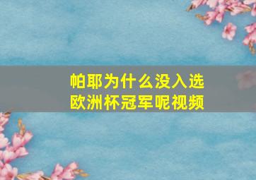 帕耶为什么没入选欧洲杯冠军呢视频