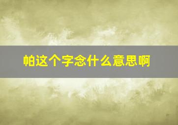 帕这个字念什么意思啊