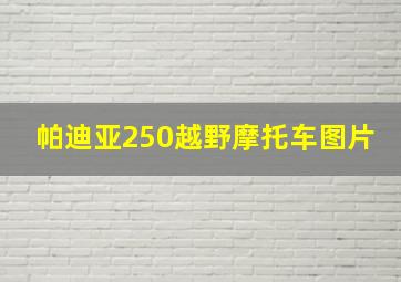 帕迪亚250越野摩托车图片