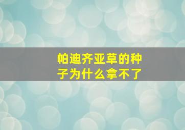 帕迪齐亚草的种子为什么拿不了