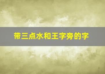 带三点水和王字旁的字