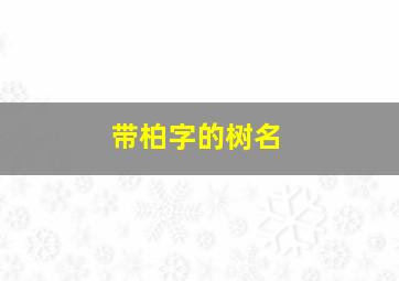 带柏字的树名