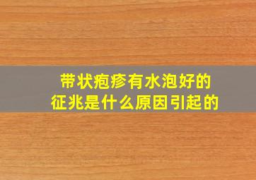 带状疱疹有水泡好的征兆是什么原因引起的