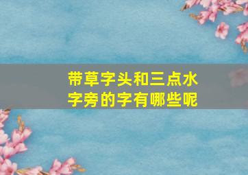 带草字头和三点水字旁的字有哪些呢