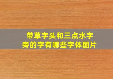 带草字头和三点水字旁的字有哪些字体图片