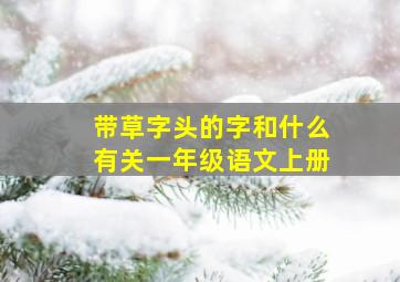 带草字头的字和什么有关一年级语文上册