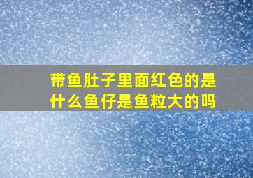 带鱼肚子里面红色的是什么鱼仔是鱼粒大的吗