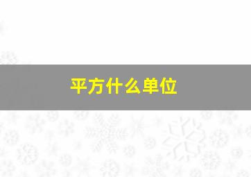 平方什么单位