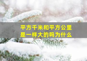 平方千米和平方公里是一样大的吗为什么