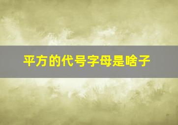 平方的代号字母是啥子