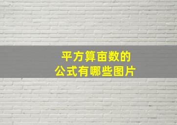 平方算亩数的公式有哪些图片