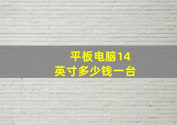 平板电脑14英寸多少钱一台