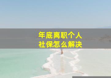 年底离职个人社保怎么解决