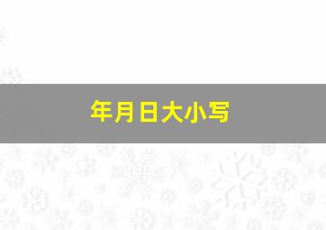 年月日大小写