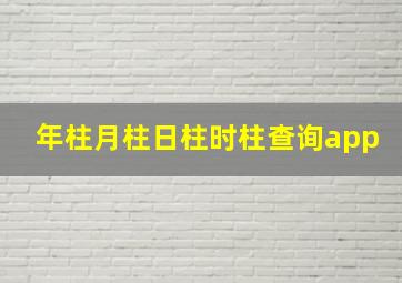 年柱月柱日柱时柱查询app