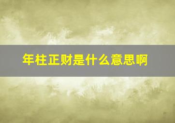 年柱正财是什么意思啊