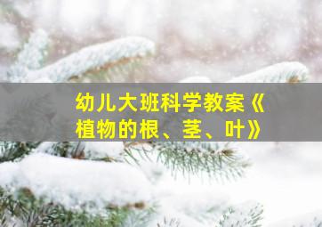 幼儿大班科学教案《植物的根、茎、叶》