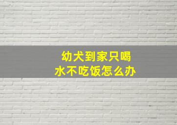 幼犬到家只喝水不吃饭怎么办