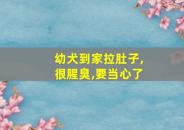 幼犬到家拉肚子,很腥臭,要当心了