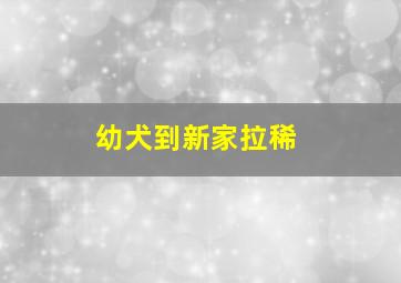 幼犬到新家拉稀