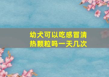 幼犬可以吃感冒清热颗粒吗一天几次