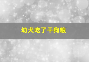 幼犬吃了干狗粮