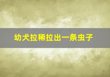 幼犬拉稀拉出一条虫子