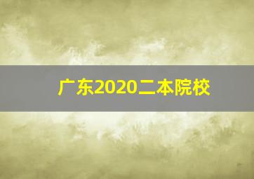 广东2020二本院校