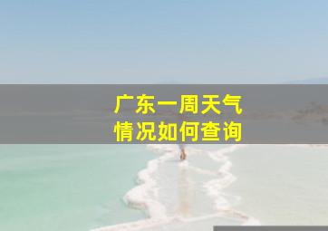 广东一周天气情况如何查询