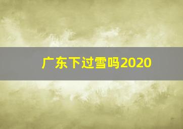 广东下过雪吗2020