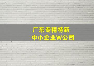 广东专精特新中小企业W公司